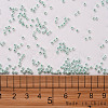 11/0 FGB Grade A Ceylon Glass Seed Beads X-SEED-N001-B-0487-3