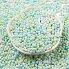 Macaron Color Opaque Frosted Glass Seed Beads SEED-K009-12B-03-2