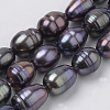 Natural Cultured Freshwater Pearl Beads Strands PEAR-S012-36-1