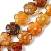 Natural Red Agate Beads Strands G-H023-B21-01-2