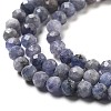 Natural Tanzanite Beads Strands G-G161-A14-03-4