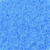 MIYUKI Round Rocailles Beads SEED-G007-RR0148F-2