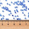Glass Seed Beads SEED-S042-13A-15-4