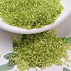 MIYUKI Delica Beads Small SEED-X0054-DBS0147-1