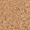 MIYUKI Delica Beads SEED-JP0008-DB0852-3
