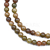 Crackle Glass Beads Strands GLAA-N046-004B-24-3