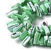 Dyed Natural Trochus Shell Beads Strands SSHEL-C013-09H-3