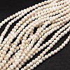 Natural Magnesite Beads Strands TURQ-L017-3mm-02A-1