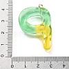 Resin Pendant FIND-Q107-01P-03-3