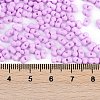 Baking Paint Glass Seed Beads X1-SEED-K010-A22-4