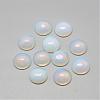 Opalite Cabochons G-R416-16mm-49-1