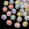 Transparent Acrylic Beads TACR-T024-06B-1