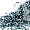 TOHO 8/0 Round Beads SEED-XTR08-1206-1