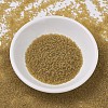 MIYUKI Delica Beads X-SEED-J020-DB0771-2