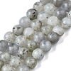 Natural Labradorite Round Beads Strands G-S158-4mm-1