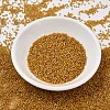 MIYUKI Delica Beads SEED-MY11-DB0272-2