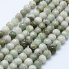 Natural Peace Jade Beads Strands G-I206-20-6mm-1