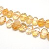 Natural Citrine Beads Strands G-O052-03-1