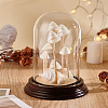 Glass Dome Cover ODIS-WH0079-021B-4