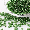 (Repacking Service Available) 6/0 Glass Seed Beads SEED-C014-4mm-27-1