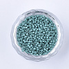 Baking Paint Cylinder Seed Beads SEED-Q036-02A-D03-2