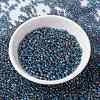 MIYUKI Round Rocailles Beads X-SEED-G008-RR0249-2