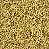 MIYUKI Round Rocailles Beads X-SEED-G008-RR4512-3