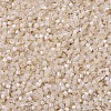 MIYUKI Delica Beads X-SEED-J020-DB1874-3