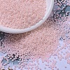 MIYUKI Round Rocailles Beads SEED-X0054-RR0427-1
