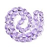 Electroplate Glass Beads Strands EGLA-N012-05B-2