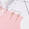 Opalite Beads Dangle Earrings EJEW-JE04709-03-2