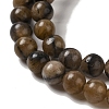 Natural Chiastolite Beads Strands G-Q161-A03-02-4