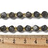 Natural Larvikite Beads Strands G-K387-A02-01-5