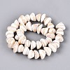 Natural Sea Shell Beads Strands SHEL-Q028-02-2