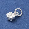 S925 Sterling Silver Pendant STER-H115-08E-S-2