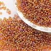 6/0 Round Glass Seed Beads X-SEED-J011-F6-171-1