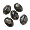 Natural Glaucophane Cabochons G-C115-01A-23-1