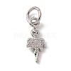 Brass Micro Pave Cubic Zirconia Charms ZIRC-F132-11P-1