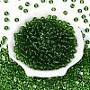 FGB Transparent Glass Seed Beads SEED-N013-01B-10-2