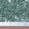 MIYUKI Round Rocailles Beads SEED-X0054-RR2028-3