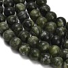Natural Chinese Jade Southern Jade Beads Strands G-P626-10mm-01A-3