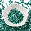Glass Seed Beads SEED-H002-A-A617-2