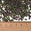 Spray Painted Glass Seed Beads SEED-F005-07A-04-4