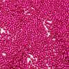 Baking Paint Glass Seed Beads X-SEED-S042-05B-69-3