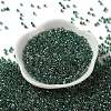 Glass Seed Beads X-SEED-S042-13A-18-2
