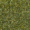 MIYUKI Delica Beads SEED-MY11-DB2377-3