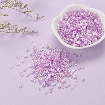 Glass Seed Beads X-SEED-S059-009-1