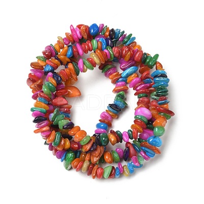 Natural Shell Beads Strands BSHE-G029-01A-1
