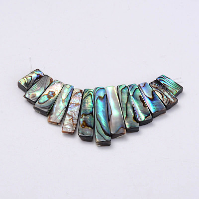 Rectangle Natural Abalone Shell/Paua ShellGraduated Beads Strands SSHEL-P002-05-1