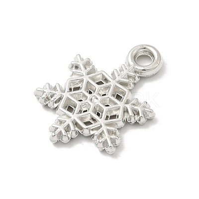 CCB Plastic Pendants CCB-I007-08P-1